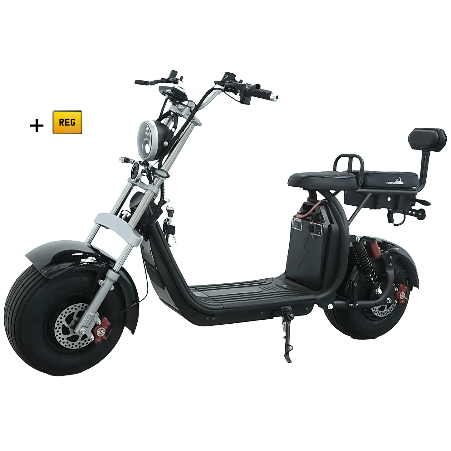 Steed Citycoco