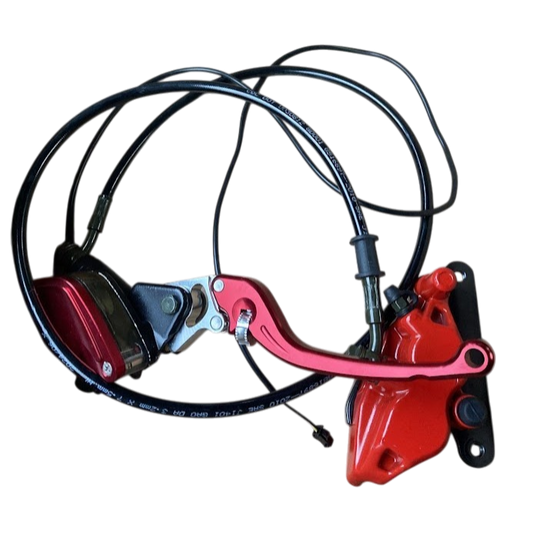 Front Brake Assembly