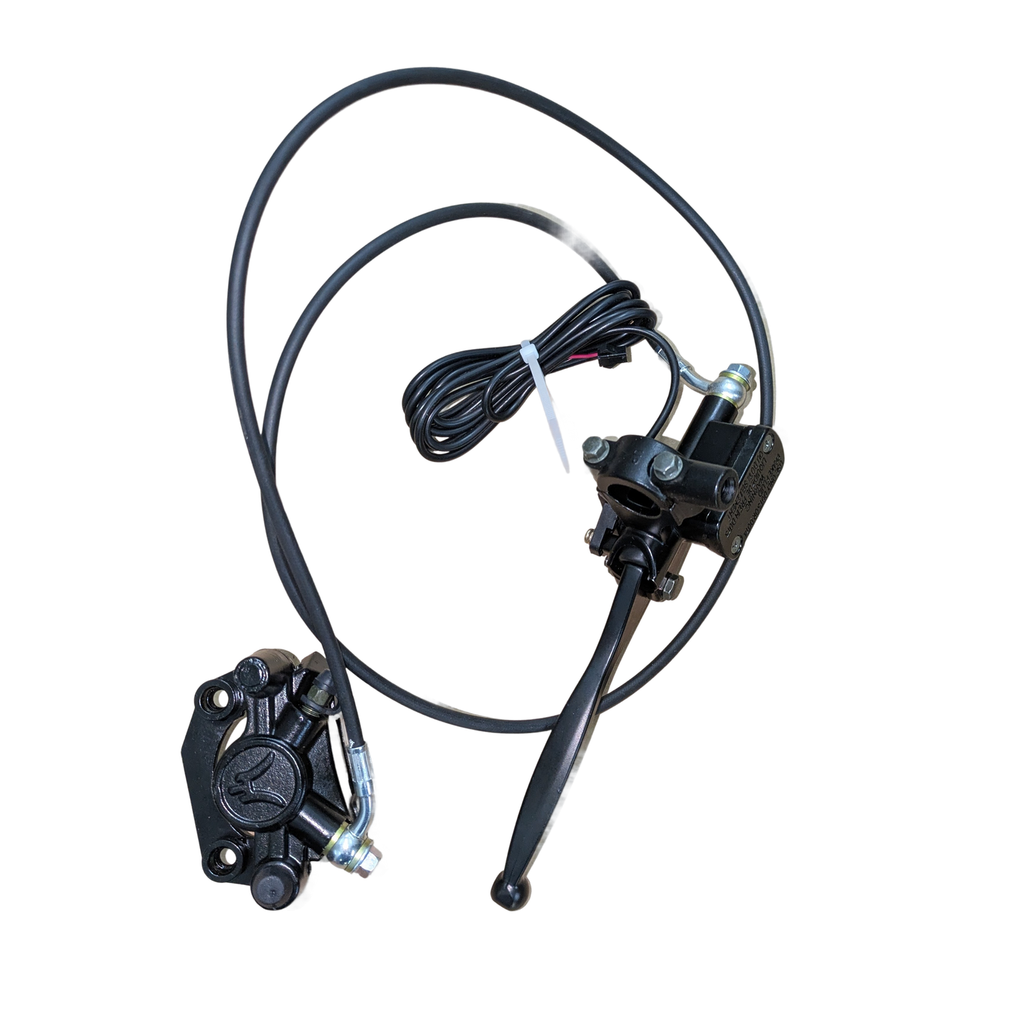 Rear Brake Assembly