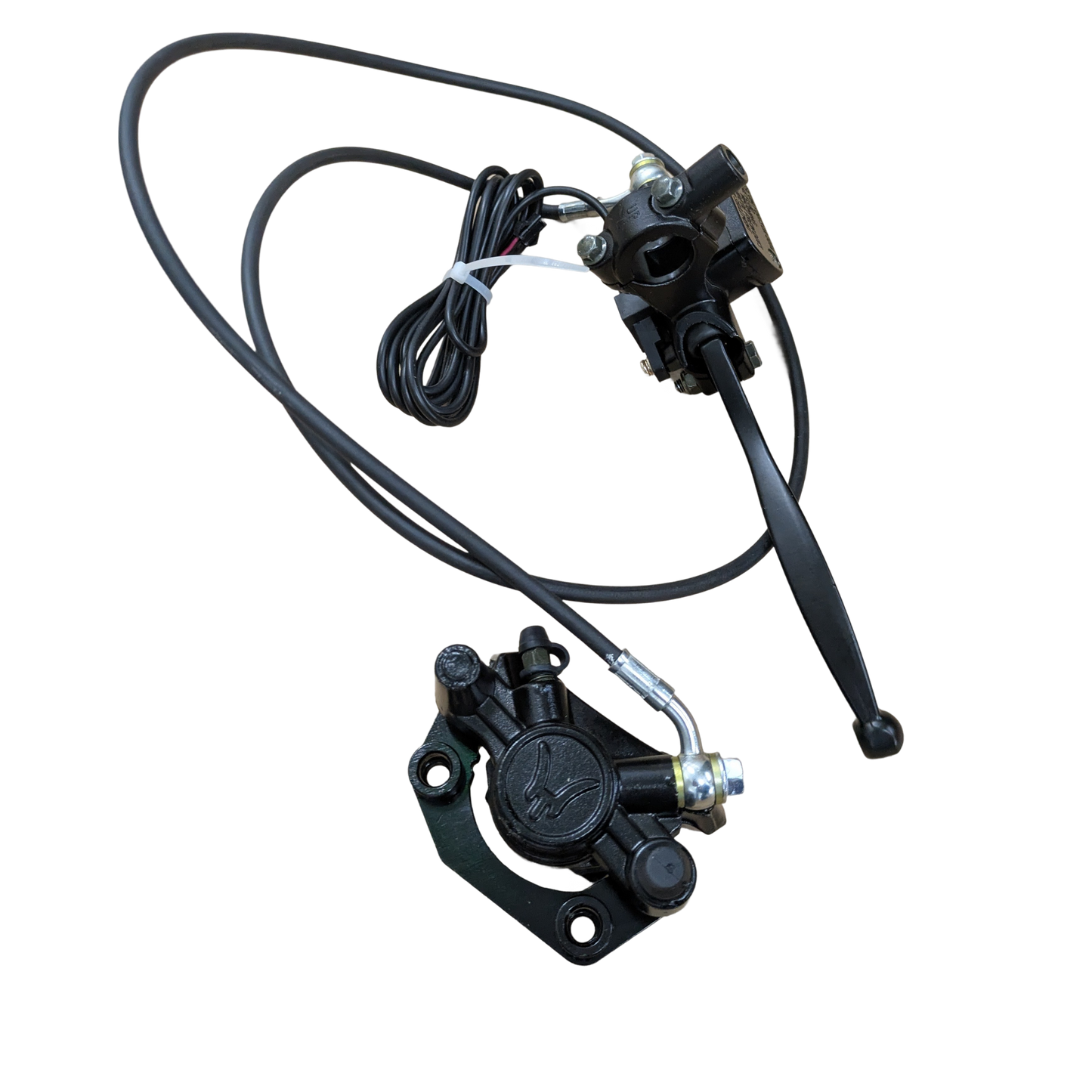 Rear Brake Assembly