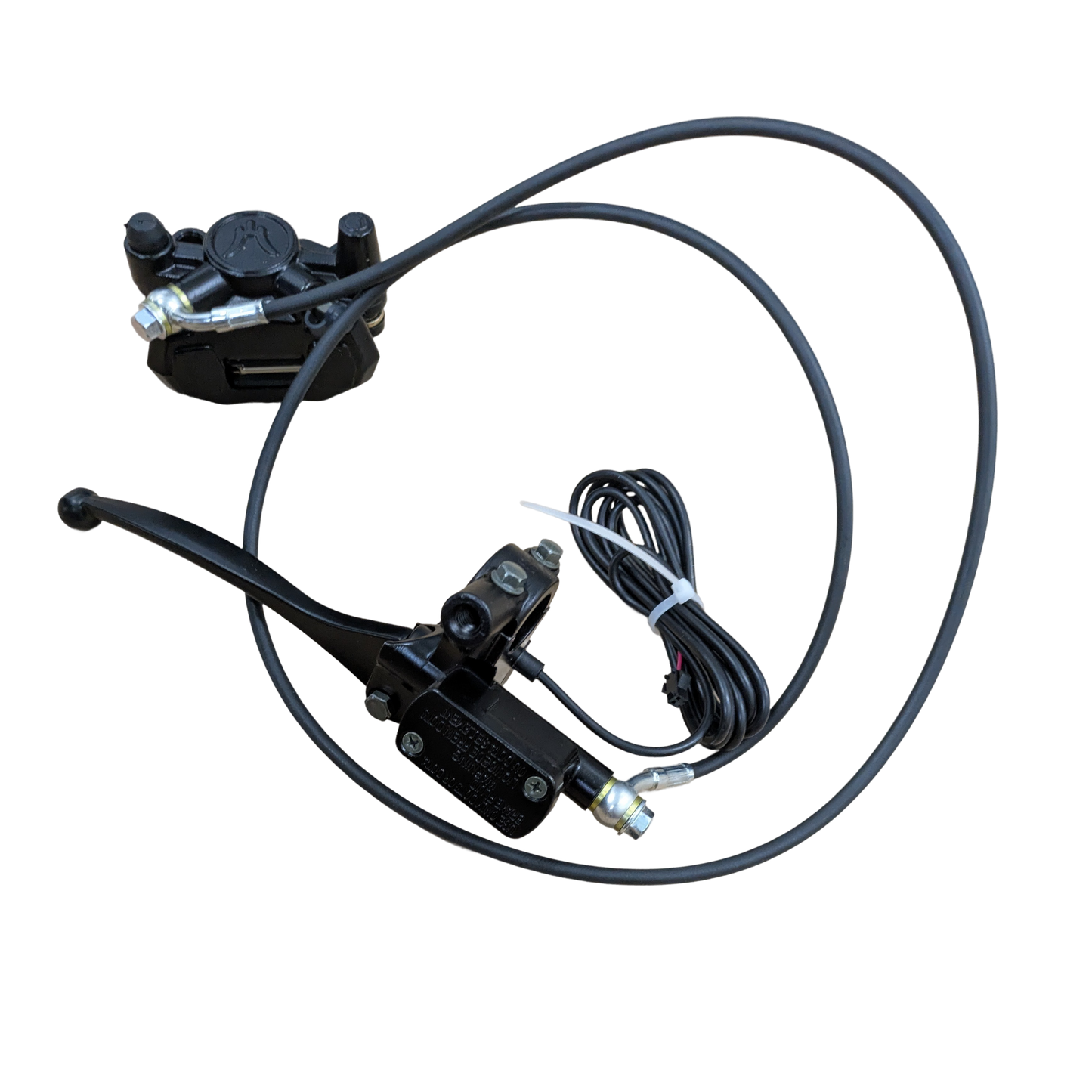 Rear Brake Assembly