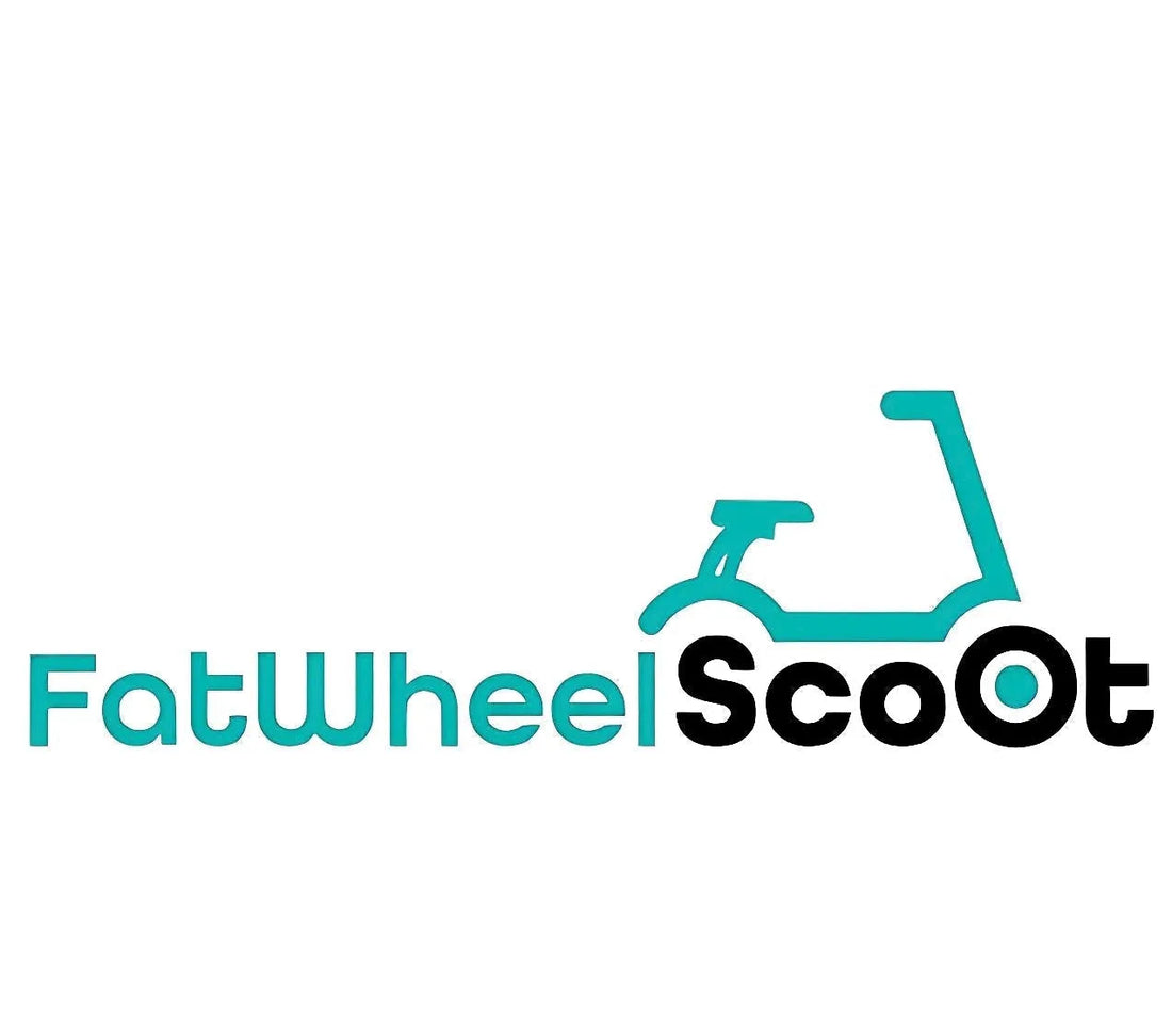 Why buy through fatwheelscoot.com?