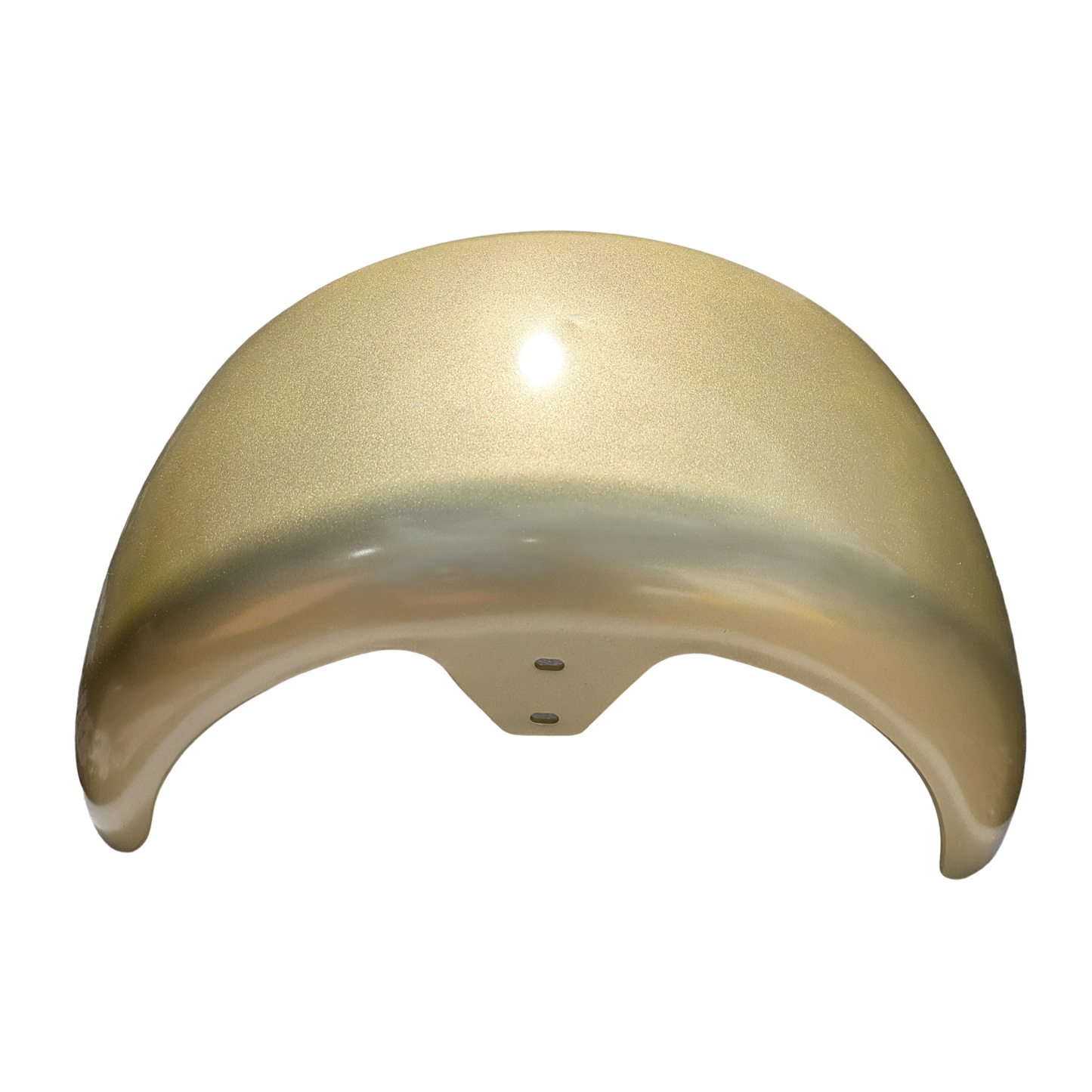Rear Mudguard