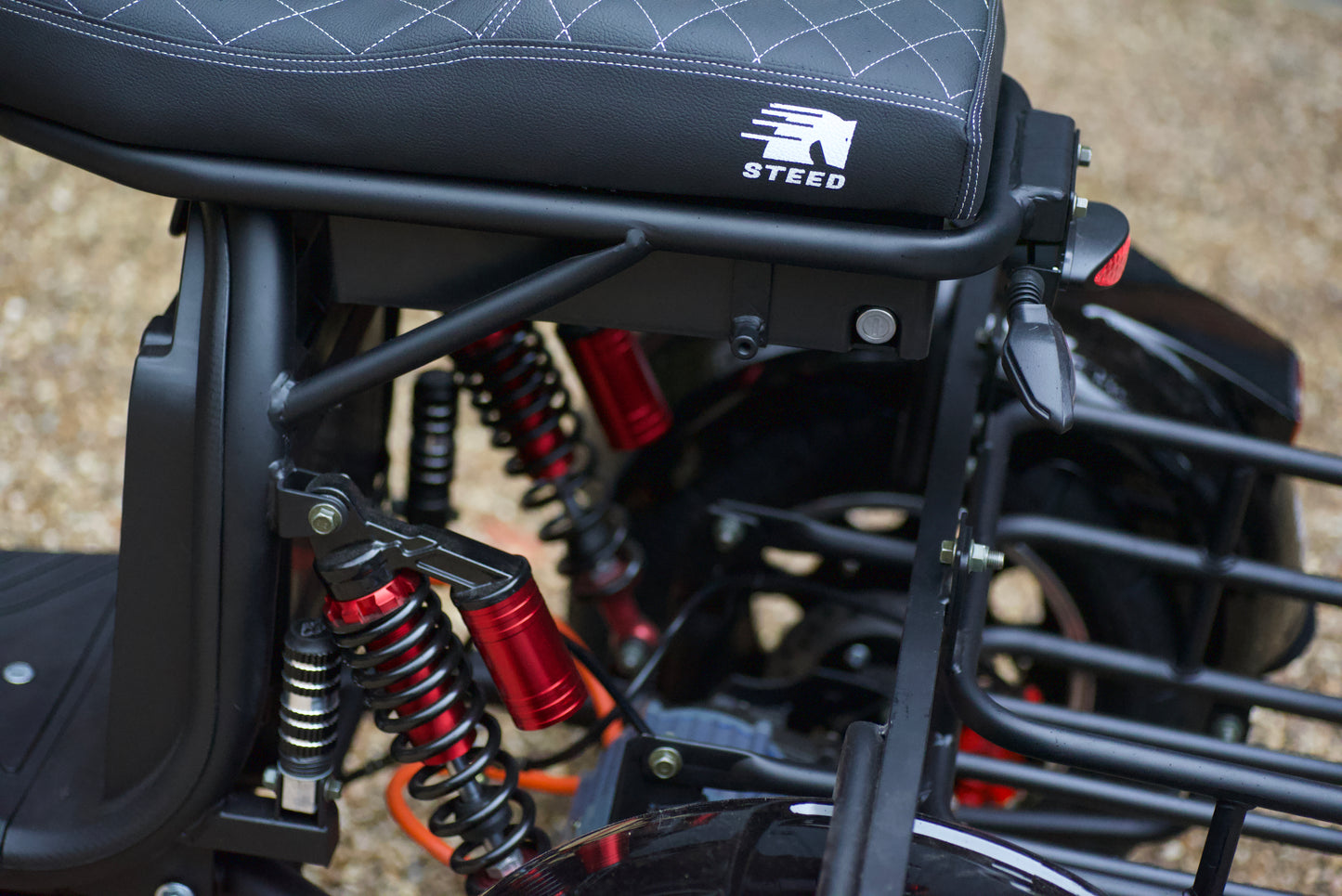 Steed Trike