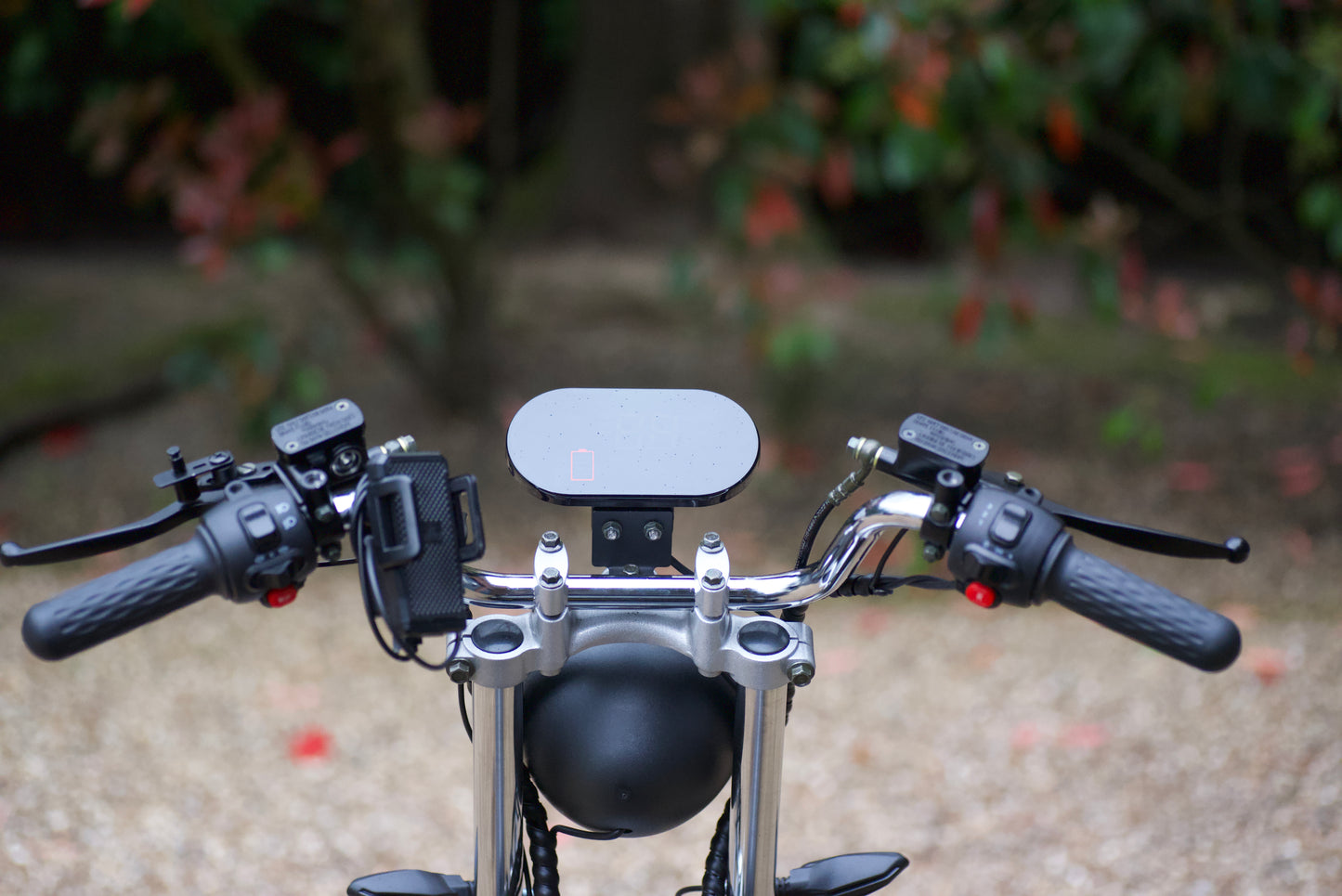 Steed Trike