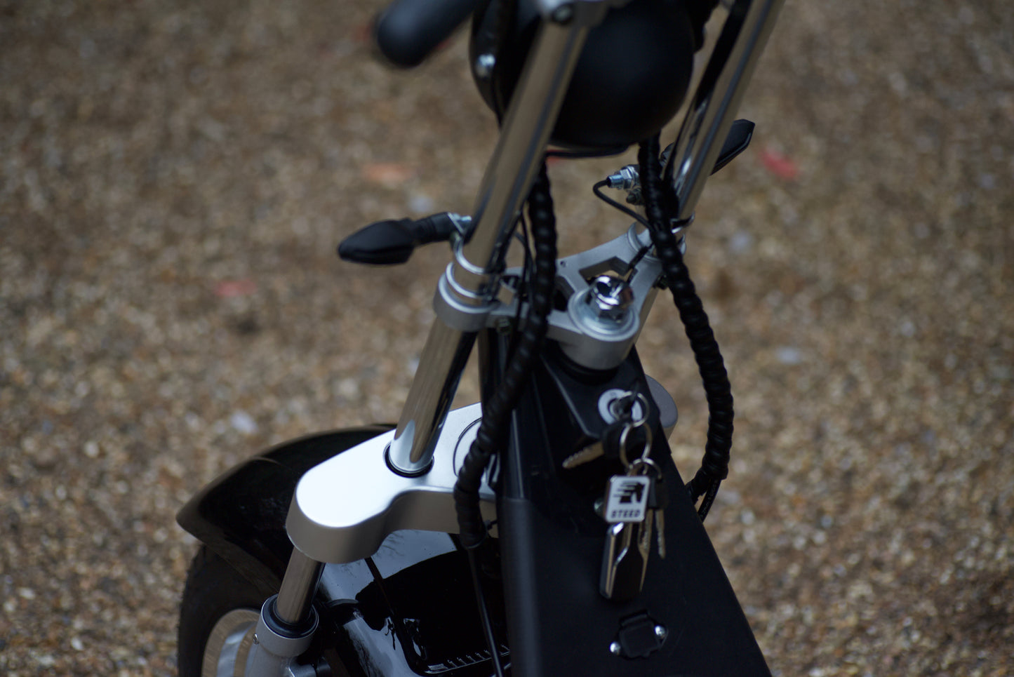 Steed Trike