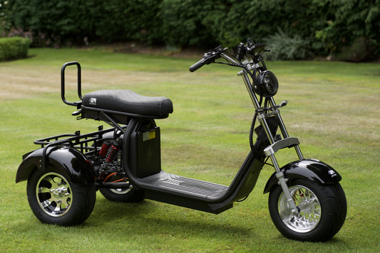 Steed Trike