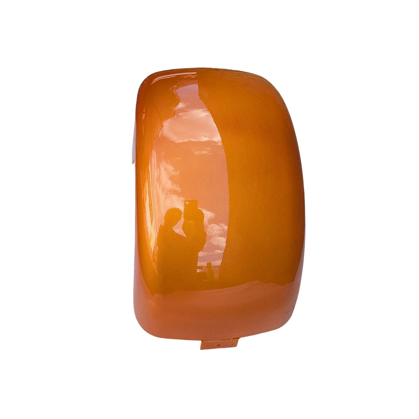 Rear Mudguard