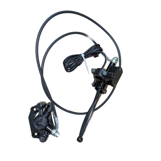 Rear Brake Assembly
