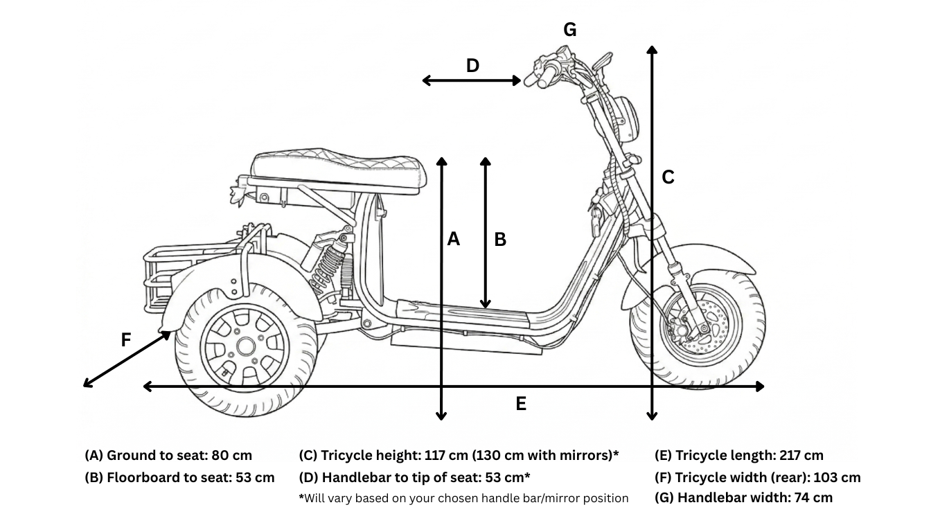 Steed Trike