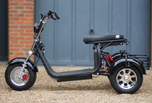 Steed Trike